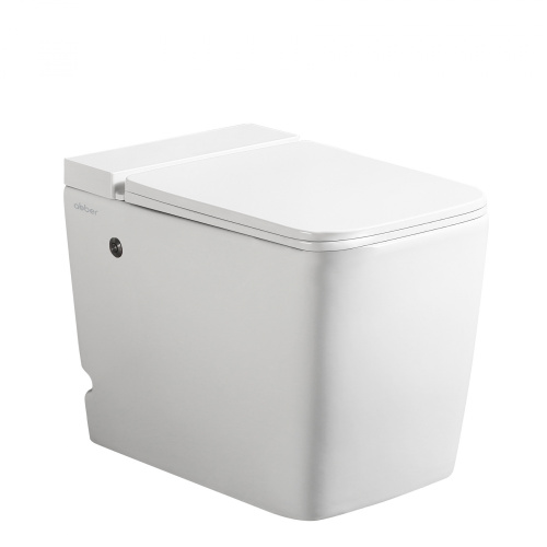 Напольный унитаз ABBER Rechteck AC1212P белый с импульсным смывом