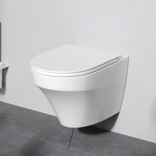 Подвесной унитаз Am.Pm Inspire C501700WH белый, FlashClean безободковый