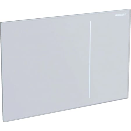 Смывная клавиша Geberit Sigma70, для двойного смыва, для смывного бачка скрытого монтажа Sigma 12 см 115.620.SI.1