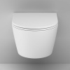 Подвесной унитаз Am.Pm Func C8F1701MWSC белый матовый, FlashClean безободковый с сиденьем микролифт