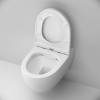 Подвесной унитаз Am.Pm Awe C111700SC белый, FlashClean безободковый с сиденьем микролифт