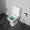 Унитаз-компакт Am.Pm Gem C908601SC белый, FlashClean безободковый с сиденьем микролифт
