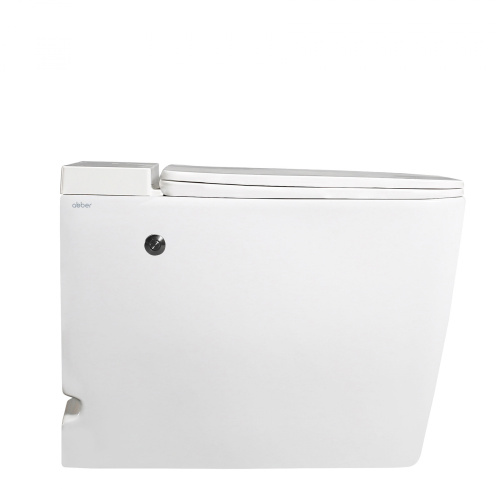 Напольный унитаз ABBER Rechteck AC1212P белый с импульсным смывом