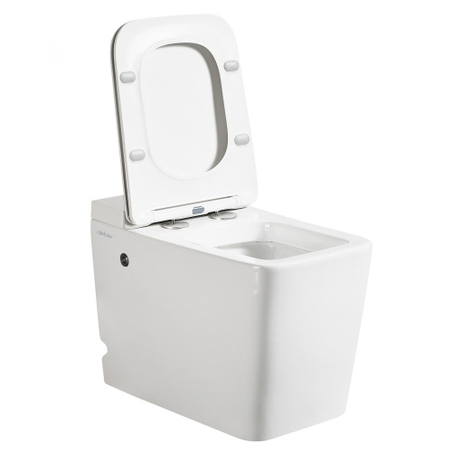 Напольный унитаз ABBER Rechteck AC1212P белый с импульсным смывом