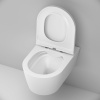 Подвесной унитаз Am.Pm Func C8F1701MWSC белый матовый, FlashClean безободковый с сиденьем микролифт