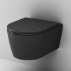 Подвесной унитаз Am.Pm Func C8F1700MBSC черный матовый, FlashClean безободковый с сиденьем микролифт
