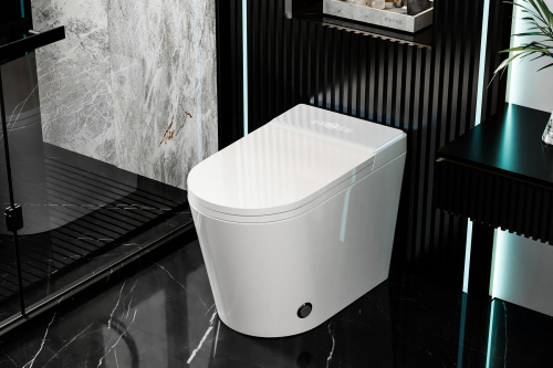 Электронный, напольный унитаз-биде ABBER Bequem AC1117S белый