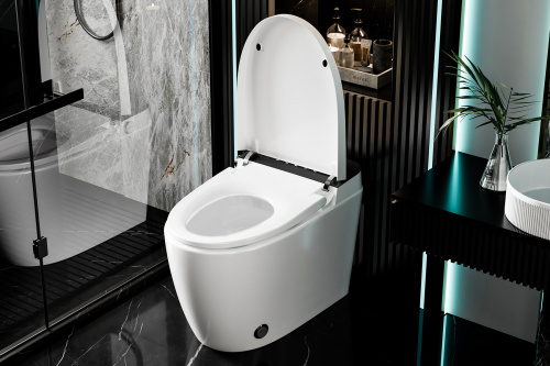 Электронный, напольный унитаз-биде ABBER Bequem AC1116S белый