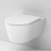 Подвесной унитаз Am.Pm Func C8F1701SC белый, FlashClean безободковый с сиденьем микролифт