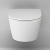 Подвесной унитаз Am.Pm Func C8F1700MWSC белый матовый, FlashClean безободковый с сиденьем микролифт