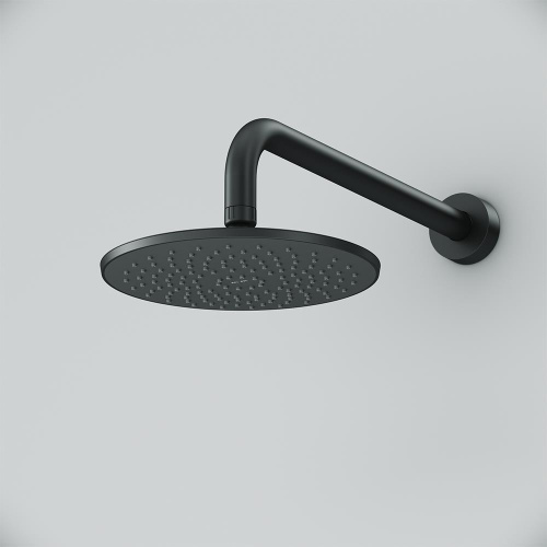 Лейка верхнего душа 220 мм Am.Pm Gem F0590022 черный